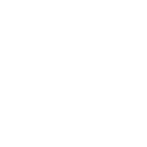 Remisen Næstved logo